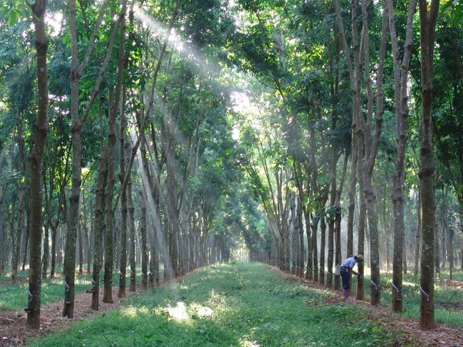 智慧園區(qū)系統(tǒng)集成商